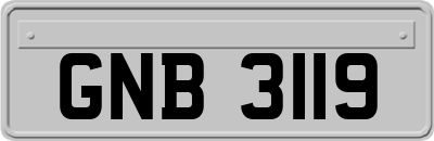 GNB3119