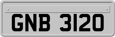 GNB3120