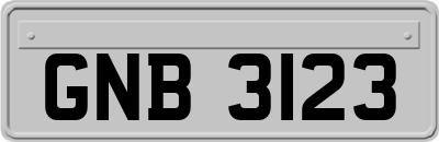 GNB3123