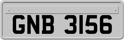 GNB3156