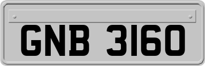 GNB3160