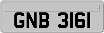 GNB3161