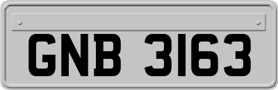 GNB3163