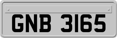 GNB3165