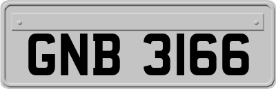 GNB3166