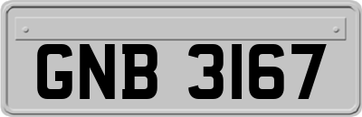 GNB3167