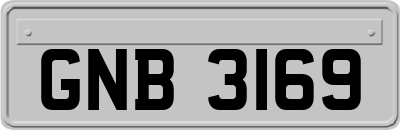 GNB3169