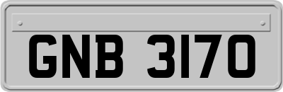 GNB3170