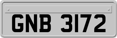 GNB3172