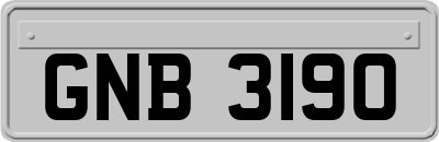 GNB3190