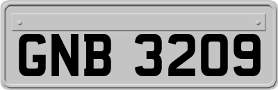 GNB3209