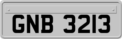 GNB3213