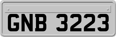 GNB3223