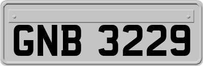 GNB3229