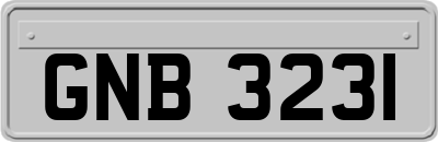 GNB3231