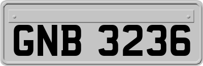 GNB3236