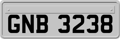 GNB3238