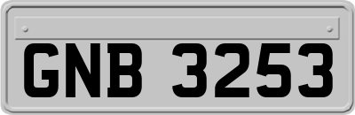 GNB3253