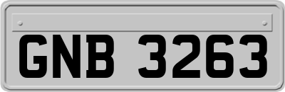 GNB3263
