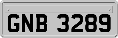 GNB3289