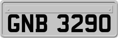 GNB3290