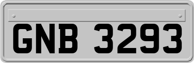 GNB3293