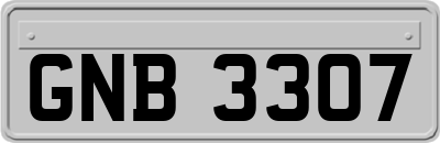 GNB3307