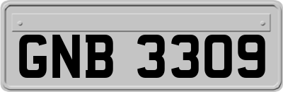 GNB3309