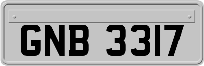GNB3317