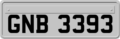 GNB3393