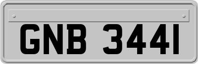 GNB3441