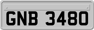 GNB3480
