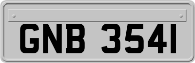 GNB3541