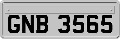 GNB3565