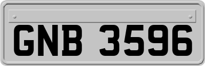 GNB3596