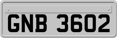 GNB3602