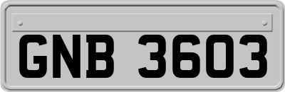 GNB3603
