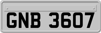 GNB3607