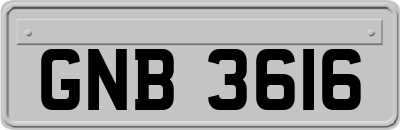 GNB3616