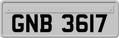 GNB3617