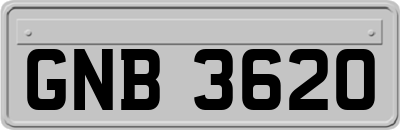 GNB3620