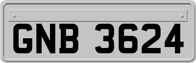 GNB3624