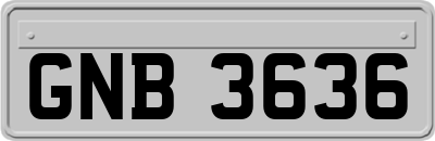 GNB3636