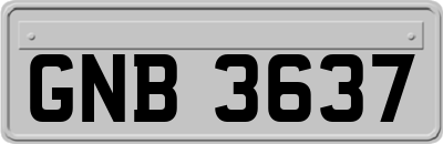 GNB3637