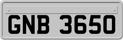 GNB3650