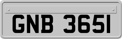 GNB3651