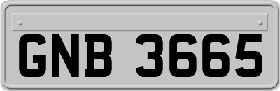GNB3665