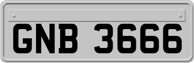 GNB3666