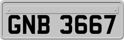 GNB3667