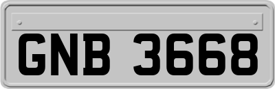 GNB3668